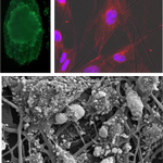 Photo by Nanofiber Solutions (@NanoSol)