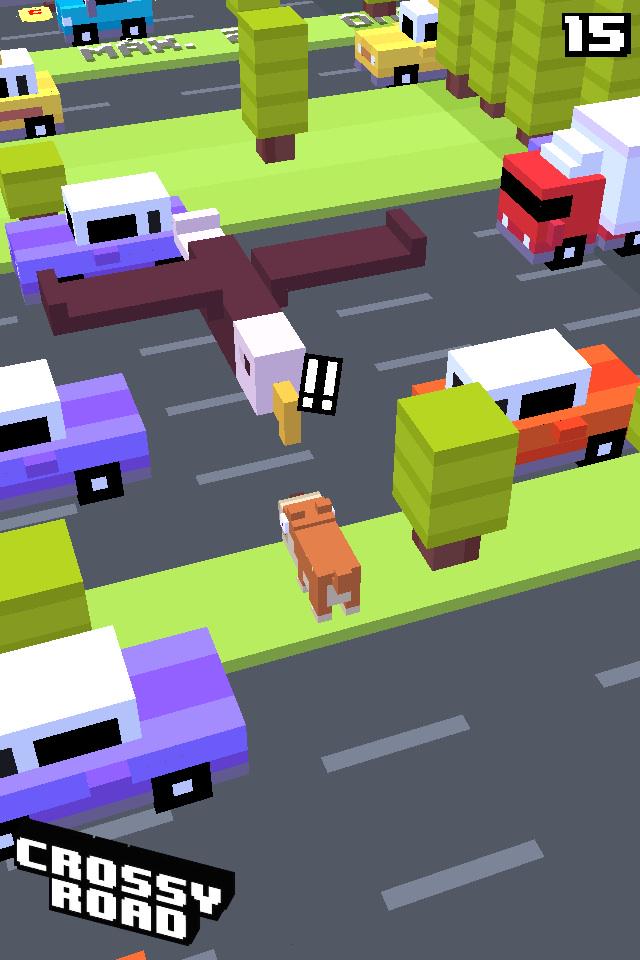 RaulAlexand's tweet photo. #crossyroad a medio camino y aparece un Gavilán salvaje http://t.co/hvhcCKve2Z http://t.co/FqfFfake4G