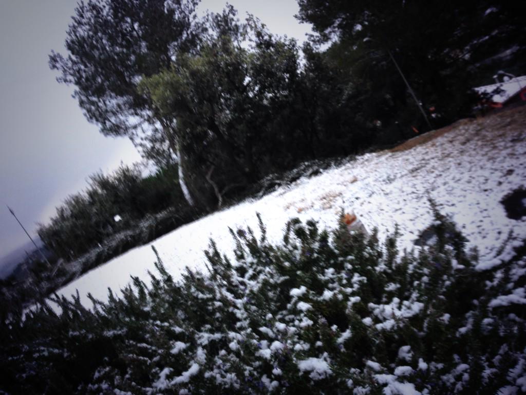 4/2 #EVshoot #neu a @lametlladelv