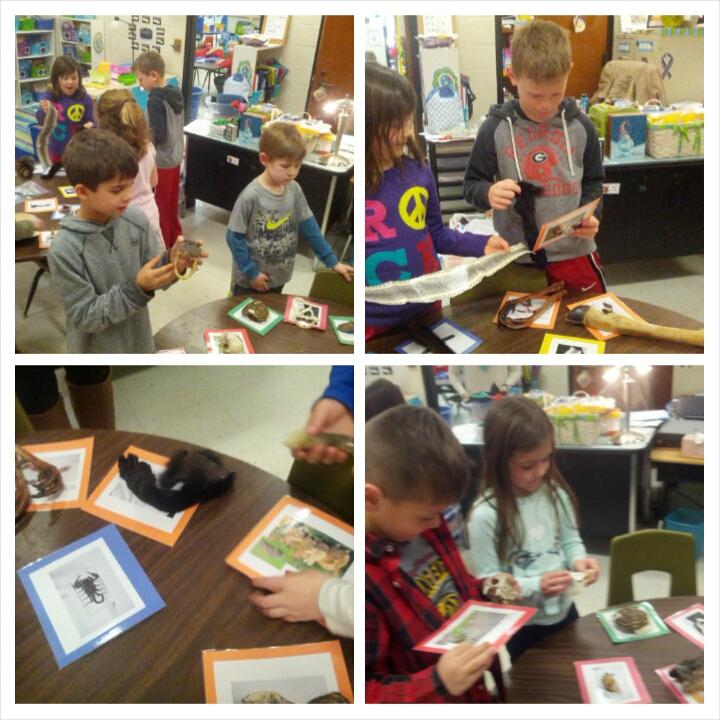 Davis_MPE's tweet photo. Lions and tigers and bears.... oh my! Studying various animal characteristics. @MPE_Mustangs @PolitoMPE http://t.co/LwkSEb7zkt