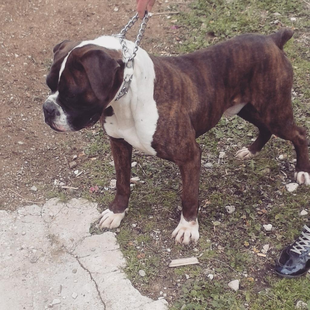 fjsoto5's tweet photo. Mi churracoo <3 http://t.co/V7nX0N4NU5