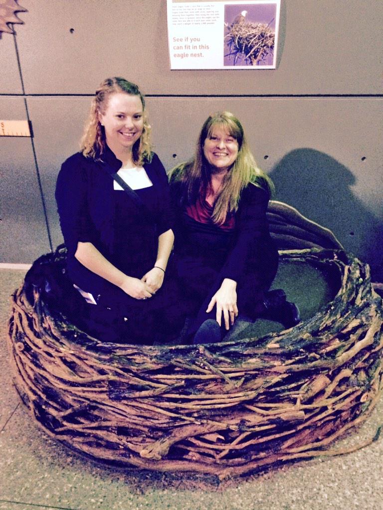 MLWarren12's tweet photo. Just sittin in a nest #SCATeachers #stallsome http://t.co/fjIBmxMZQN