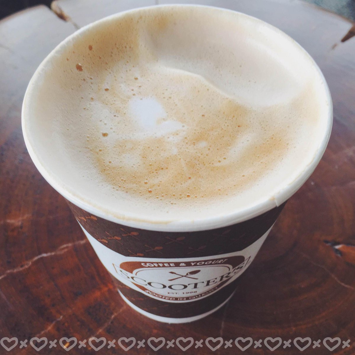 scooterscoffee's tweet photo. You're so hot, too hot to handle. #ScootersLove #TurtleLatte #CheesyPickUpLines http://t.co/sAugQ8Mpt1