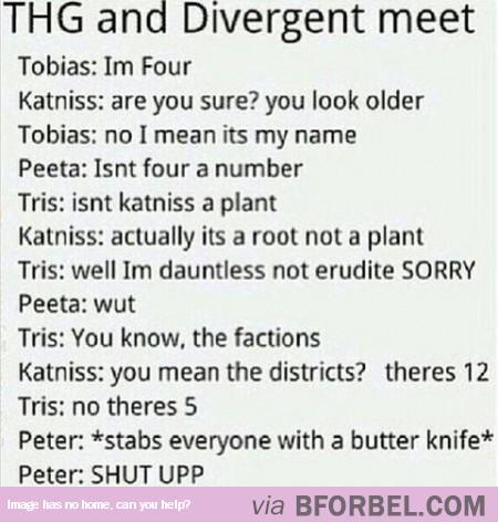 PrayforIDF's tweet photo. That moment when The Hunger games and Divergent characters met. http://t.co/JARiptQJJx