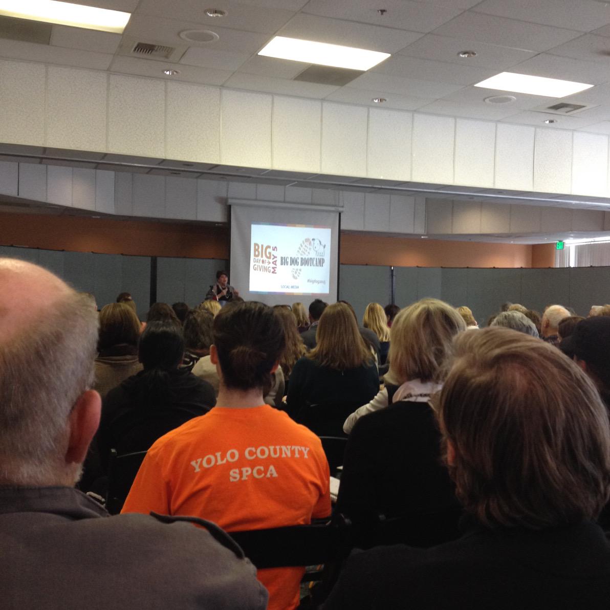CSRM_Foundation's tweet photo. Social Media Bootcamp for #BigDog2015 @sacregcf #csrmf #may5 http://t.co/MhSmbNEiKJ