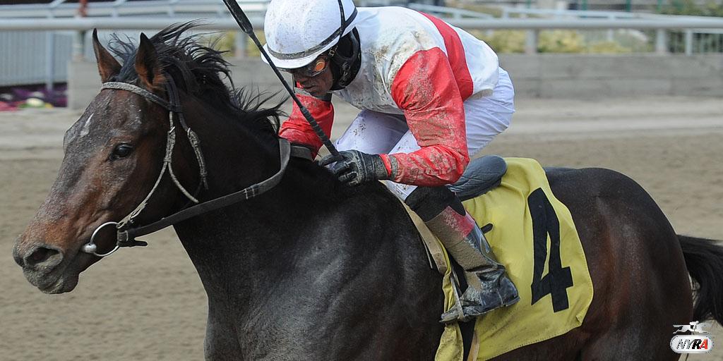 TheNYRA's tweet photo. The most recent #KYDerby winner to run at #Aqueduct - name him and the two subsequent GSWs behind him that day. http://t.co/hUM0r9fzhI