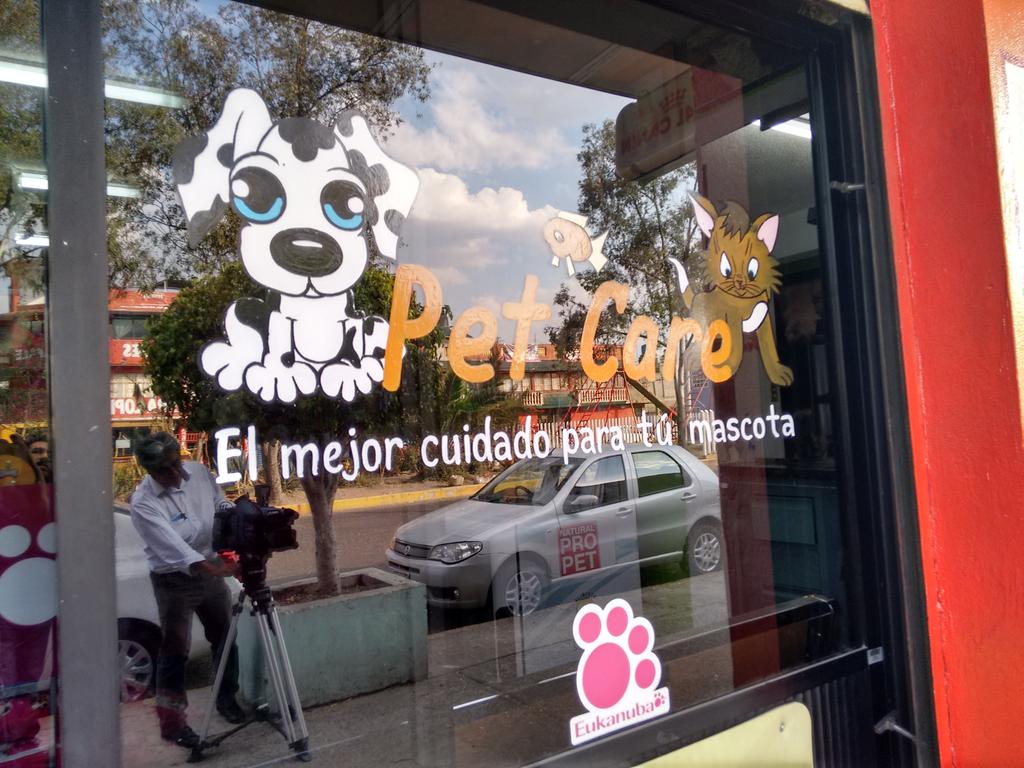 SabesQuienSabe's tweet photo. ¡Ya estamos en la veterinaria donde será operado quirúrgicamente #Killer! #YoApoyoAKiller @xuxhq http://t.co/gbX8oa0k3m