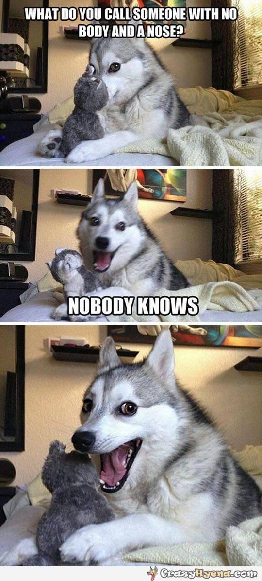 SpeakComedy's tweet photo. Nobody Knows. 😂 http://t.co/SZoDbMjOoB