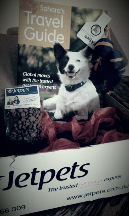 Thanks <a href="/Jetpets/">Jetpets</a>  for Lou's travel pack... not sure how long the biscuits will last! ;)