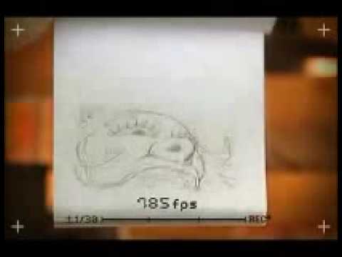 TheDanielUk's tweet image. The best #Flip book animation ever! bit.ly/1DH5MsA #BestFlipBook #FlipBookAnimation #Video