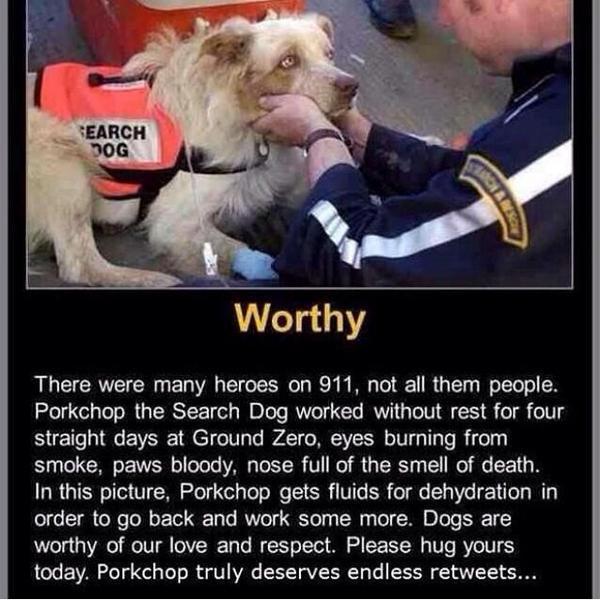 Take a second and read 👼