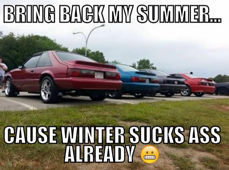 BlueOvalProbz's tweet photo. #TrueStory #MissingTheMustangs #GoAwayWinter http://t.co/aksdAUSZD4