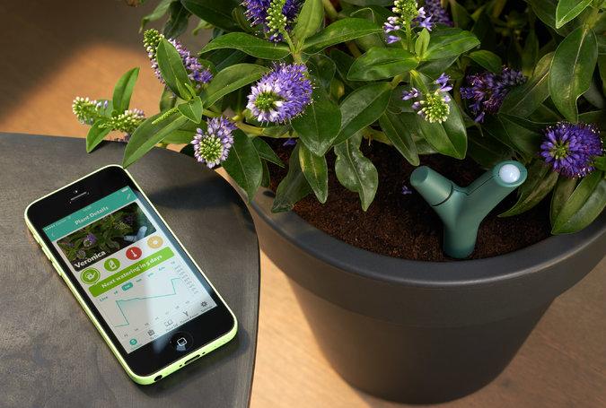 GadgetFlow's tweet image. #Parrot Flower Power #PlantSensor bit.ly/1BUumDN Intelligent plant sensor connected to a smartphone app!