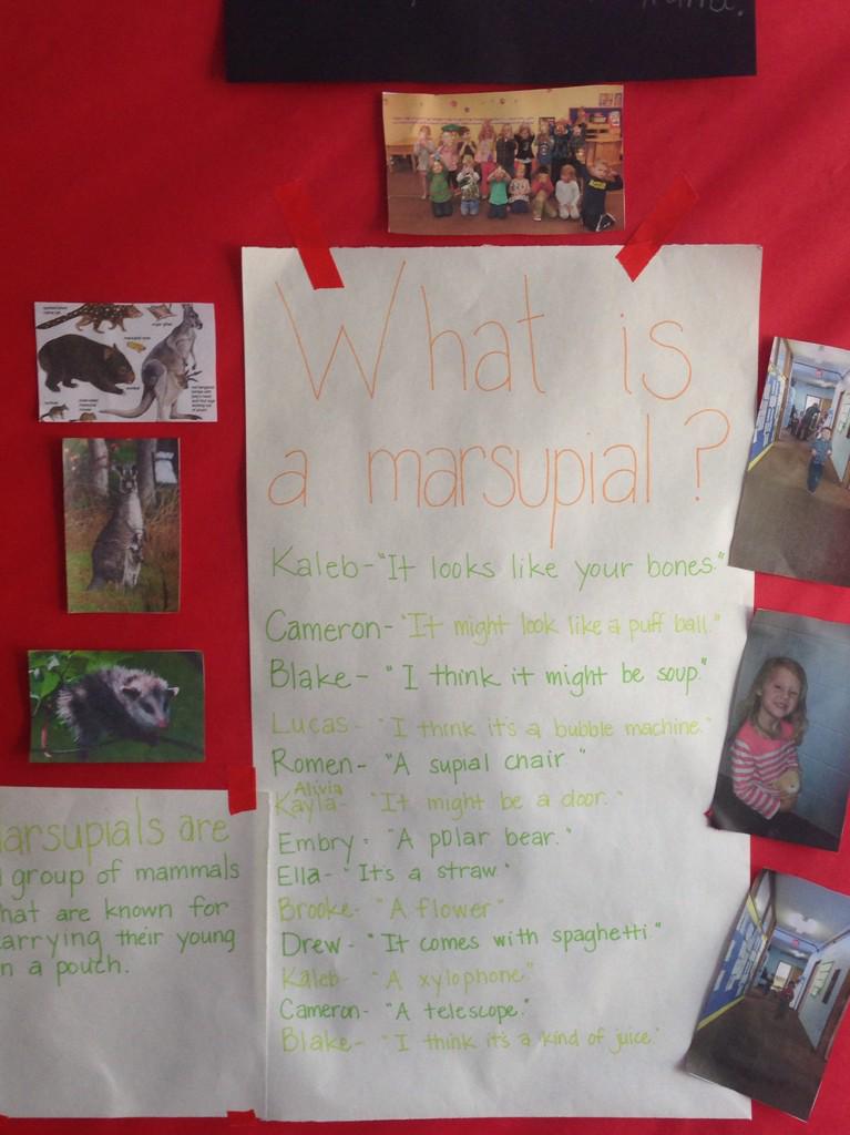 undergradprep's tweet image. Haha oh how I love my students 😂❤️their answers have me dying