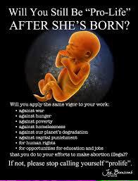 proudliberalmom's tweet image. .@Ladyred133 proving you are not #prolife. Just call yourself #profetus 

#p2 #atheist #UniteBlue