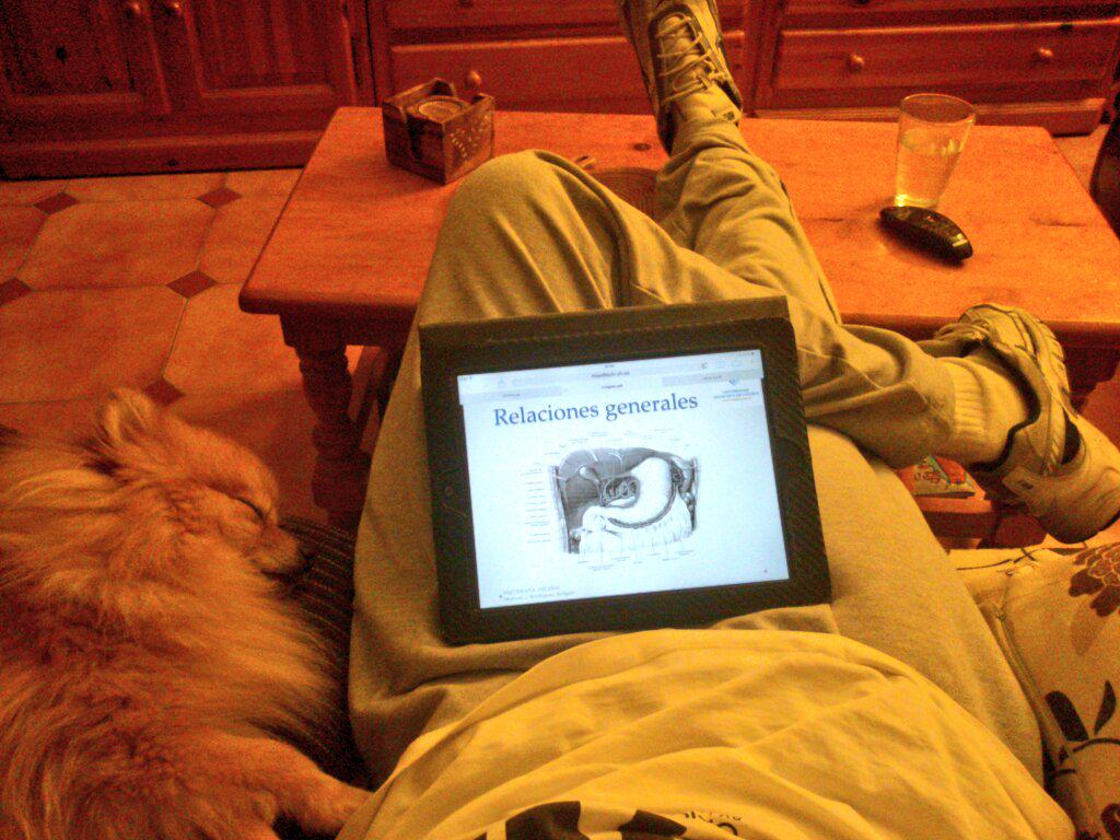 eltito8Morens's tweet photo. Aquí sigo con las vísceras, menos mal que no estoy sólo http://t.co/nT0XtOuvsN