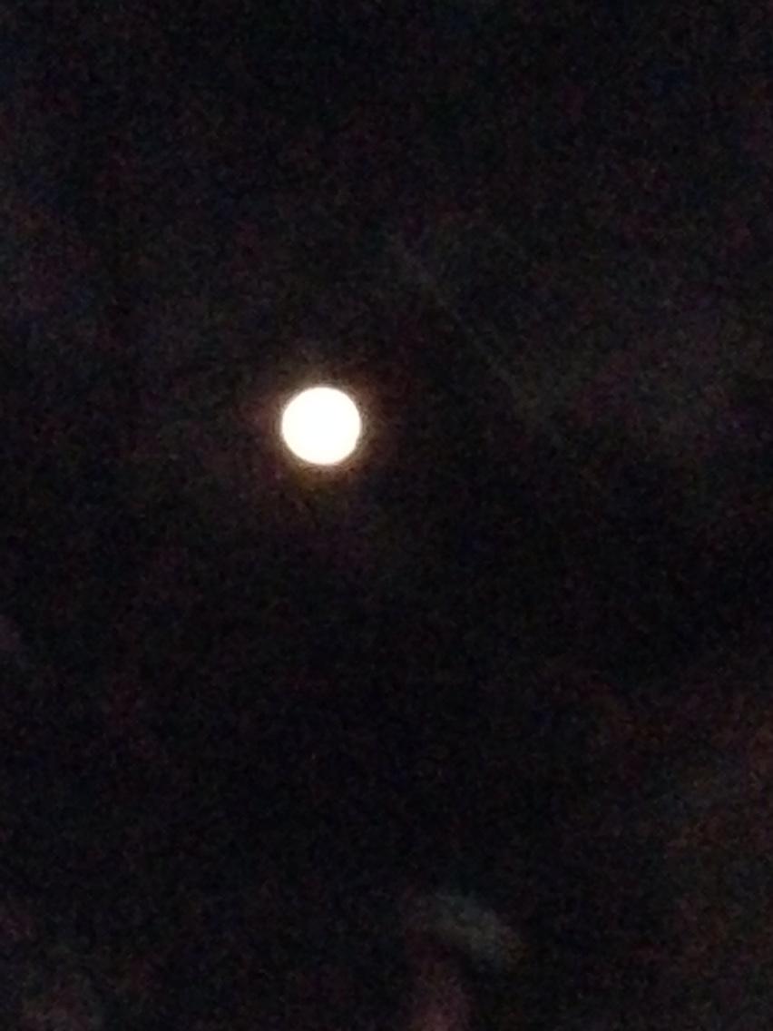 krisbatt's tweet photo. Since @Tony_BATtista is off Twitter and can't boast about #fullmoon , the job has become mine! #sadBat http://t.co/p7NKpZI6oQ