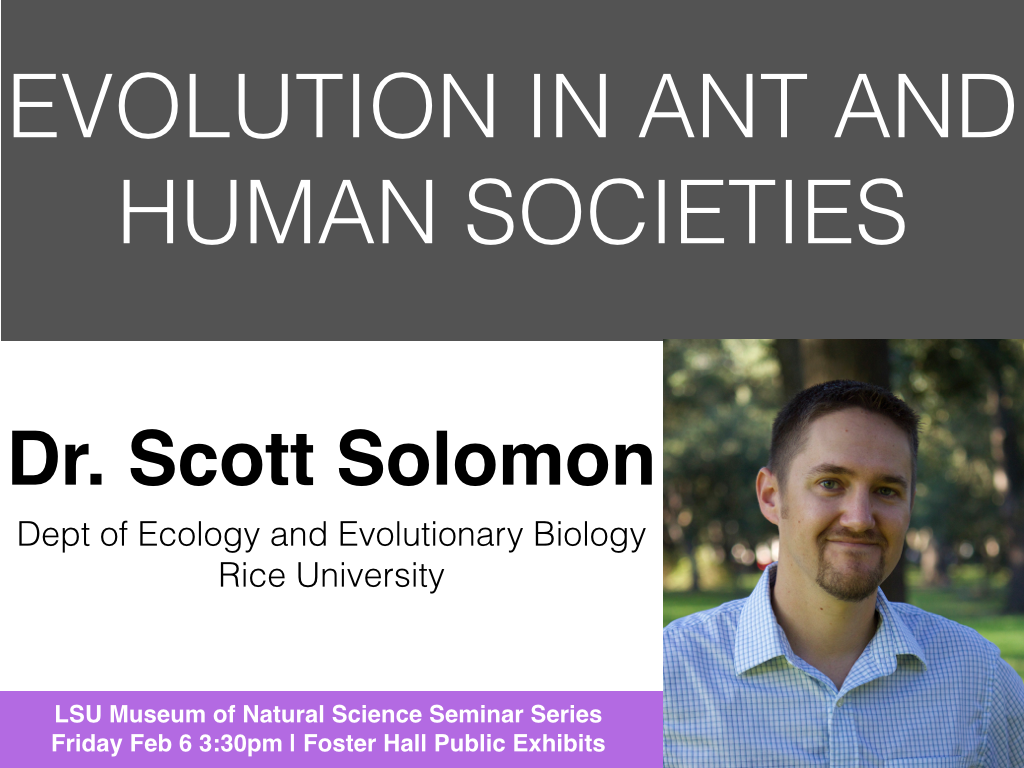 LSUMNS_seminar's tweet photo. This week! http://t.co/zGHCN2iknj
