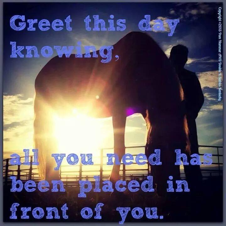 AndyFallis's tweet image. 