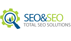 seoeseo1 tweet picture