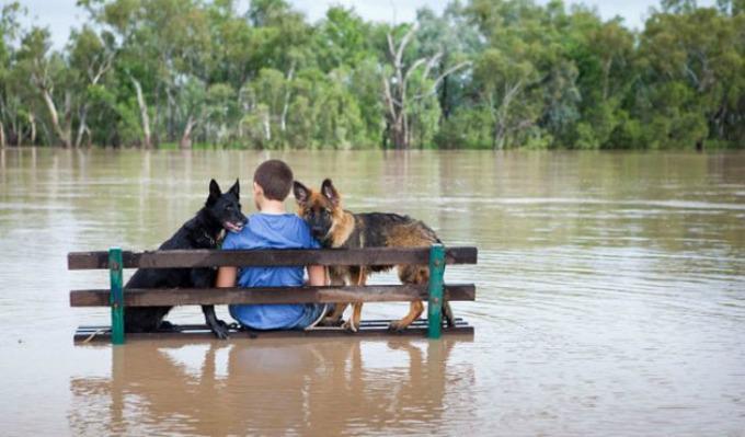 Touching #Photo #flooding #Albania Feb 2015!