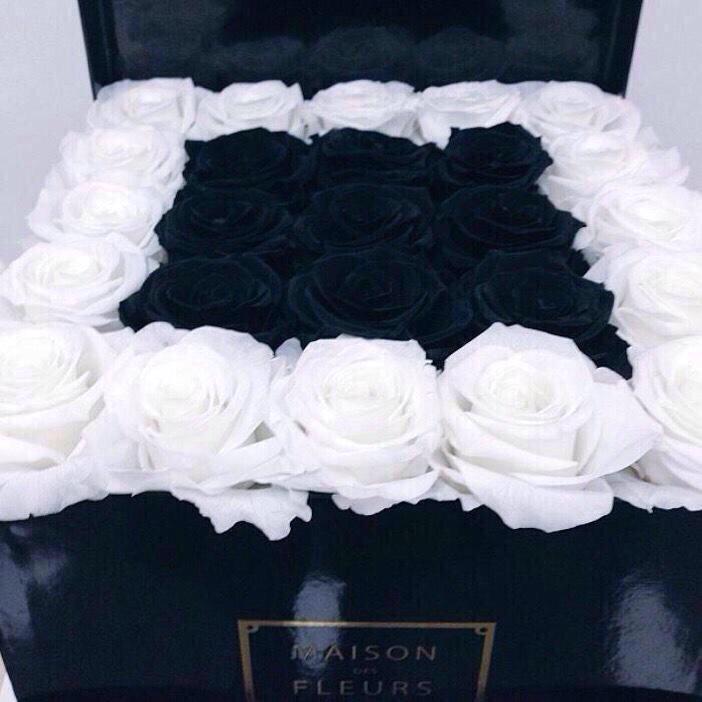 RomanticGlFS tweet picture