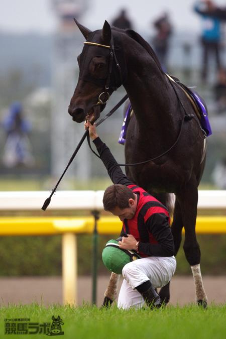 競馬 エイシンフラッシュ Mデムーロ騎手サイン入り 天皇賞秋