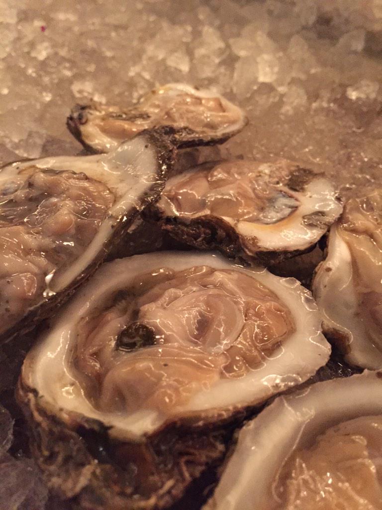 seventy7degrees's tweet photo. Gulf #oysters lookin' good! #AustinOysterFestival 2.28.15 @seventy7degrees https://t.co/nNe5TU1x4f http://t.co/WquNo5MzSg