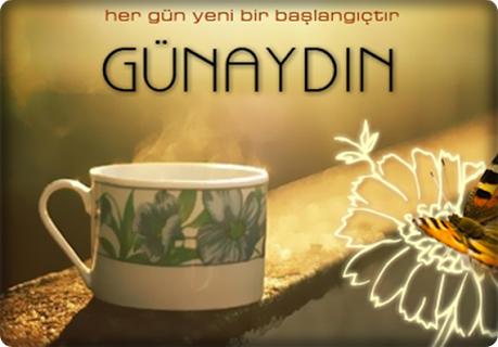 adransmone tweet picture
