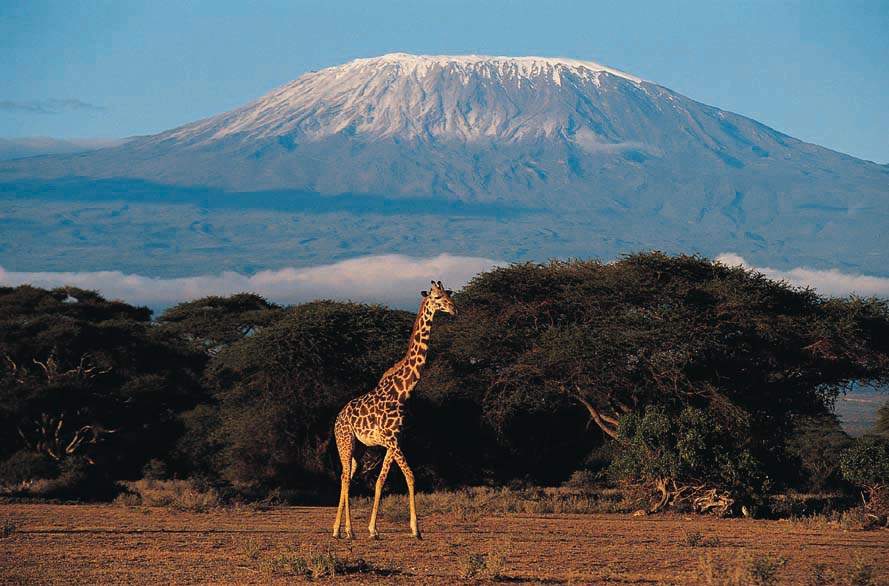 Kilimanjaro #Feeltheadventure #Africa