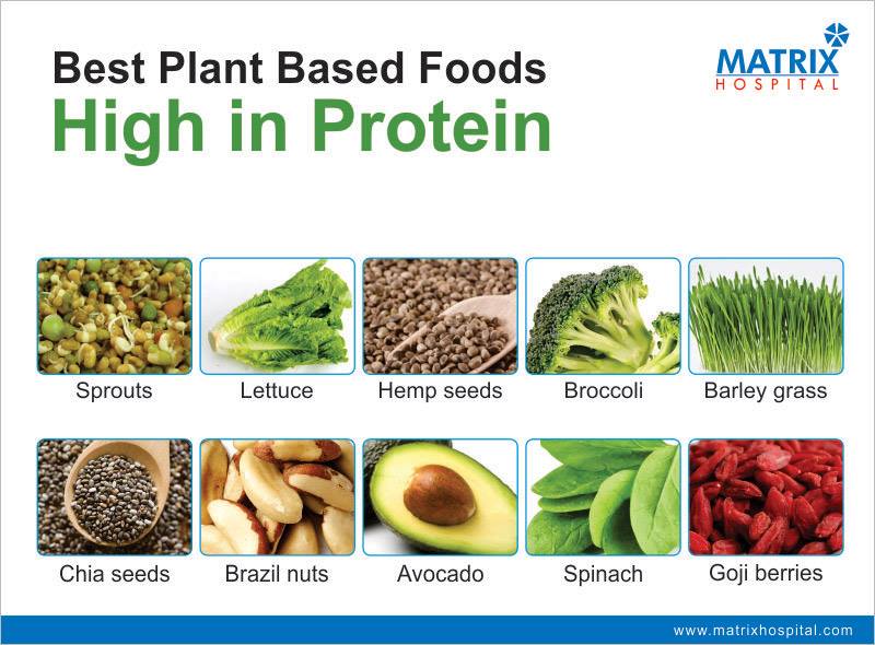 matrixhospital's tweet photo. Best Plant Based Foods High in Protein: Read Fully :http://t.co/WNe1xkCrNn http://t.co/4cFUhiaMeJ