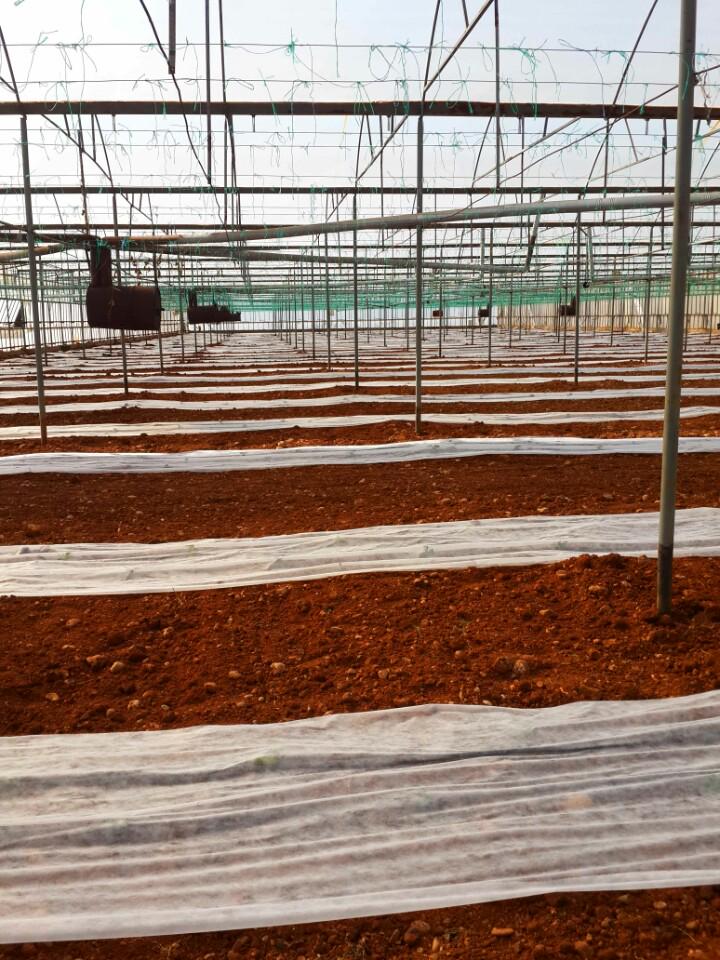 I'm at Rakip İçöz Tarım Tesisleri swarmapp.com/c/cigYGBU5JTZ