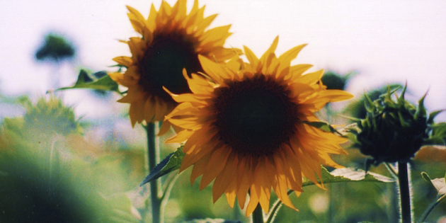 HubSpot's tweet photo. The Latest Visual Content Trends: What's Going to Be Hot in 2015 [Infographic] http://t.co/gbBDVikrMN http://t.co/MIHoajpQzP