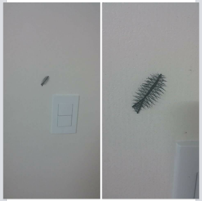 헐..징그러.ㅠㅠ