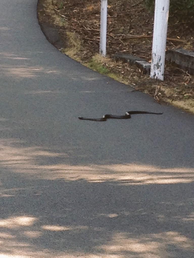 Todd Skipworth tweet media