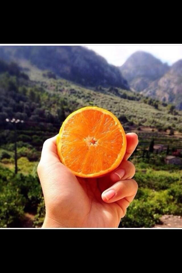 EnTusFogones's tweet photo. ¡¡Que mejor que un zumo de naranja para coger energía!!
¡¡Buenos días a todos!! 
#entusfogones #goodmorning http://t.co/CFVVYGmLy7