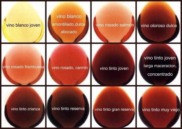 MasQueVino2015's tweet photo. Es interesante conocer el #vino y su envejecimiento,segun su color.http://t.co/BBWZVc93dn" @Maritxu91 @MariaMayorG @MFaelli @Elsa_9