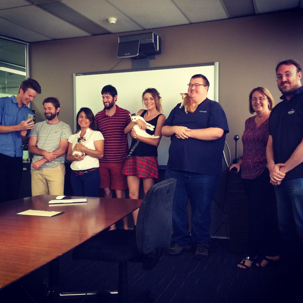The team in the Perth office today were blessed with a kitten break! Thanks <a href="/Uber_Perth/">Now Uber_Australia</a> and <a href="/CatHavenWA/">Cat Haven</a>