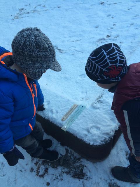 Bron: OBS De Springschans