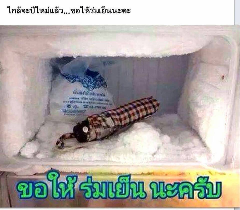 kanatean's tweet photo. ขอให้พรุ่งนี้ ร่มเย็น ด้วยเถอะ http://t.co/dD2SPZVRZ4