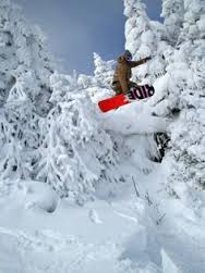 Skiing?  book in for physio! - get fixed, get fit, get strong and ski/board like a boss! backintoaction.co.uk/contact