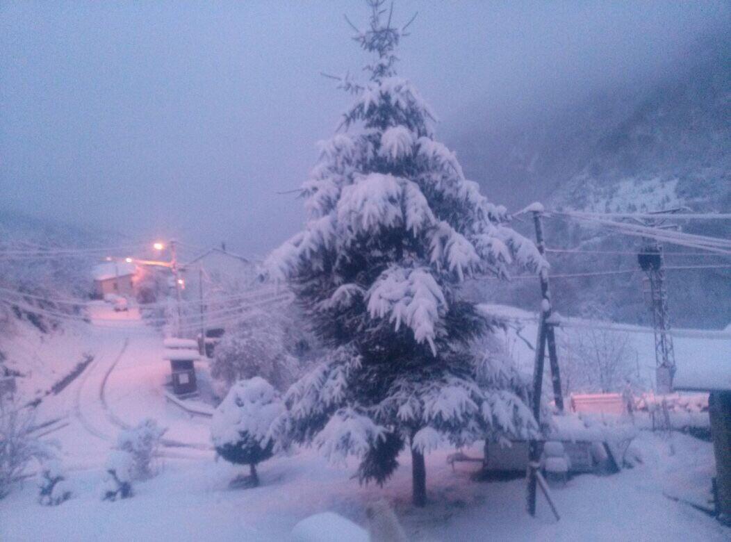 Lu_Mo_Ca's tweet photo. Nevada en #Gedrez #CangasdeNarcea #Asturias http://t.co/rzAX6iy82T
