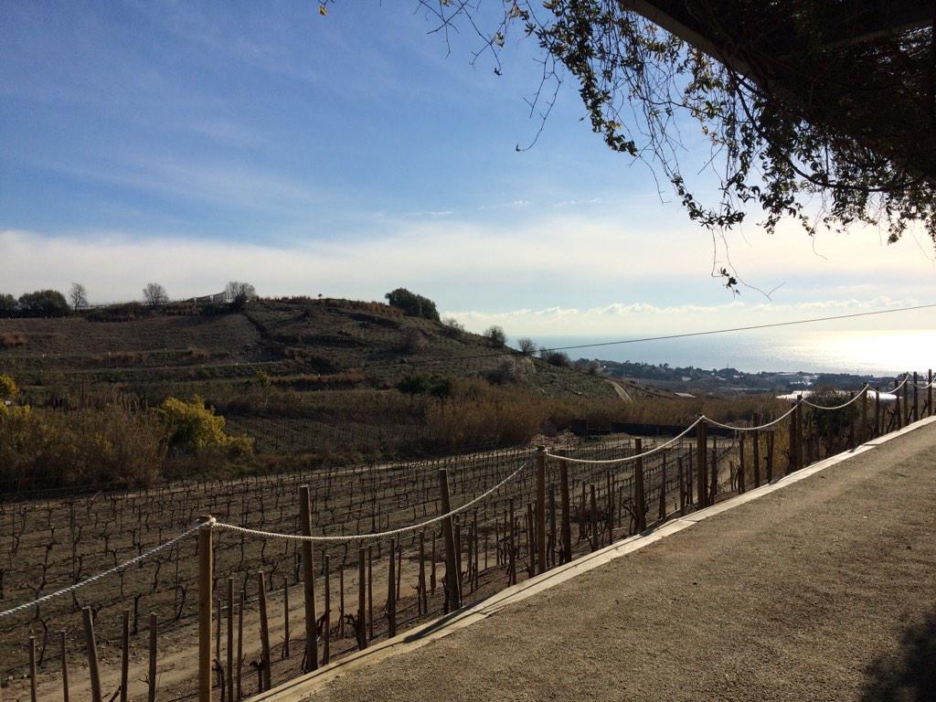 Aquesta nit folk &amp; vins mediterranis <a href="/ProjecteMut/">Projecte Mut</a> <a href="/incavicat/">INCAVI</a> <a href="/cellerQuim13/">Celler Quim Batlle</a> <a href="/DOAlella/">DO Alella</a> #vicatalà elborncentrecultural.bcn.cat/ca/node/891