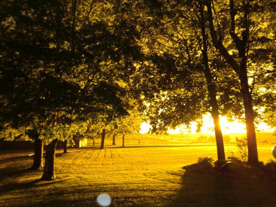 LeechNate's tweet photo. Thought I'd post a couple more... This is when you know you have an awesome yard!  #LoveOfPhotos http://t.co/LMCRi0g0rK