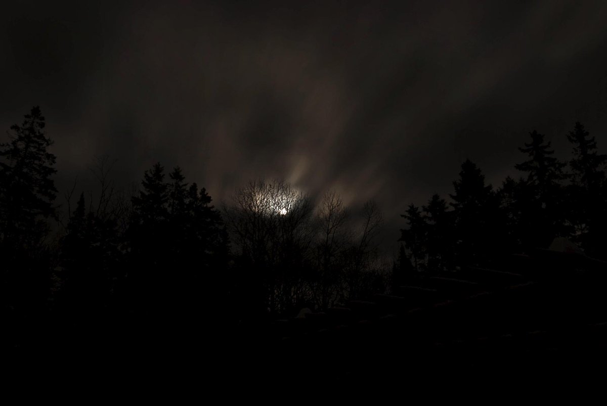 MossImaging tweet picture