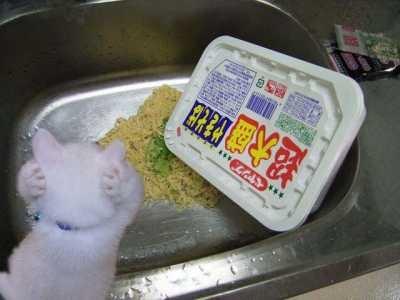 たらちゃんページ♡⃜ 〇 たらちゃん♡