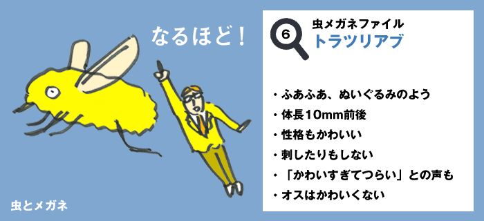 虫とメガネ Twitterissa 謎の生物 トラツリアブ ぬいぐるみのみたいにモフモフ ふあふあしている 性格もかわいい アブ だけど刺したりもしない オスは一切かわいくない Http T Co Ffqrtpyggv Lineスタンプ トラツリアブ Http T Co Howmvlrdws