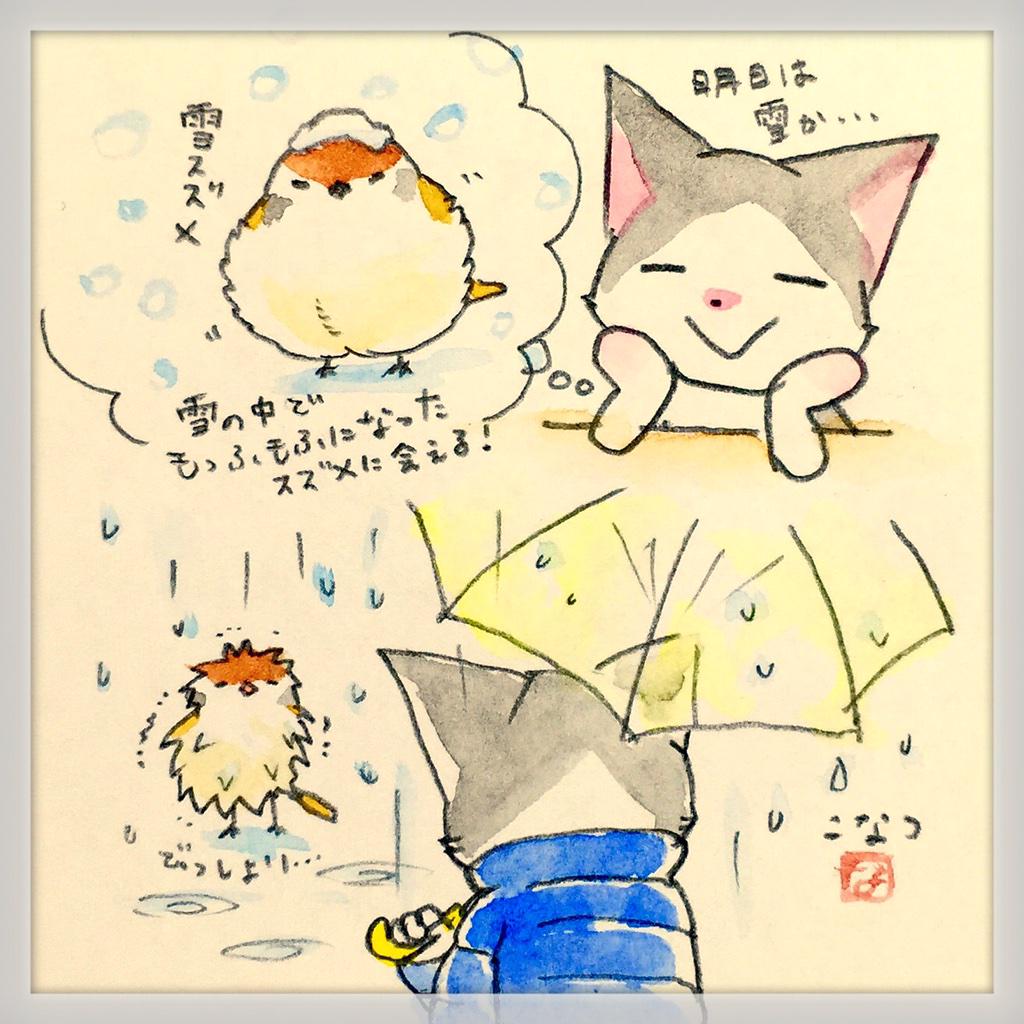 どうでもいいこと絵日記:今日は雪の予報だったので、真っ白な雪の中でころっころにふくらんだスズメに会えるのを楽しみにしてたんだけど、残念ながら雨でした。 