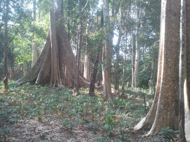ParrotTours's tweet photo. Parrot tours Trekking http://t.co/Gegt02CPDQ