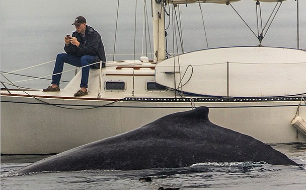 iamfinlay's tweet photo. Wouldn't catch @CliveStanden doing this. RT @HuffPostUKTech: Modern life, in one photo. http://t.co/wQH95E029L http://t.co/2yH7A3lAYt